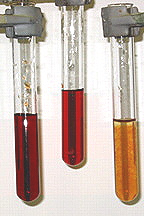 Equilibrium reactions